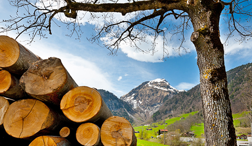 How To Dry Wood