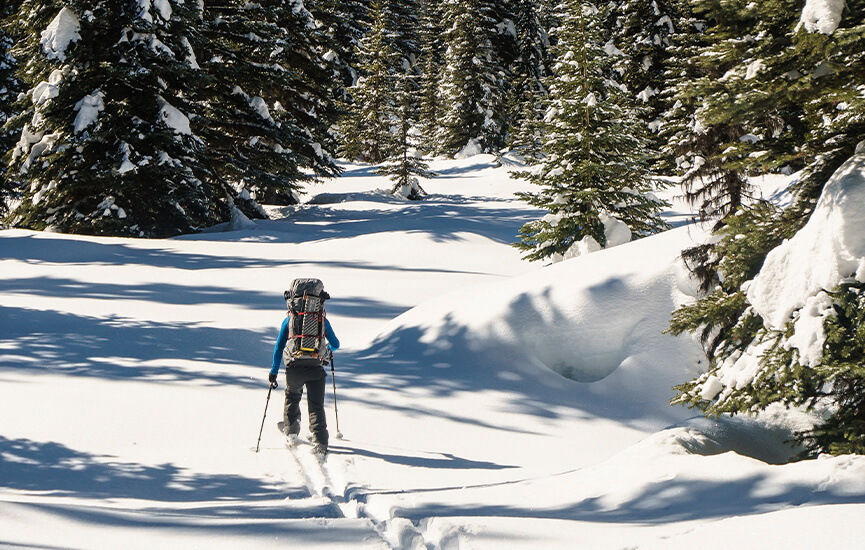 A man skiing in the Norwegian forest