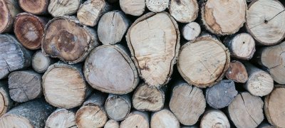 Chopped wood. Photo.