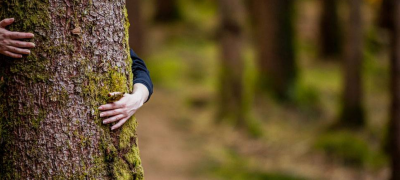 How Eco-Friendly Is Your Wood Stove