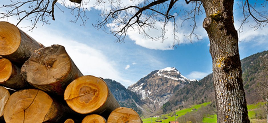 How to dry wood. Photo.