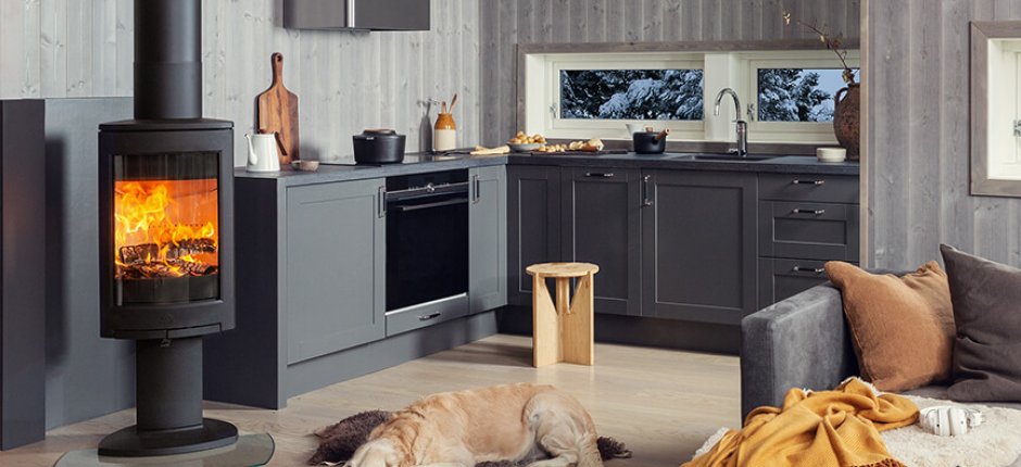 Jøtul F 373 Advance black wood burning stove in a living room with a dog