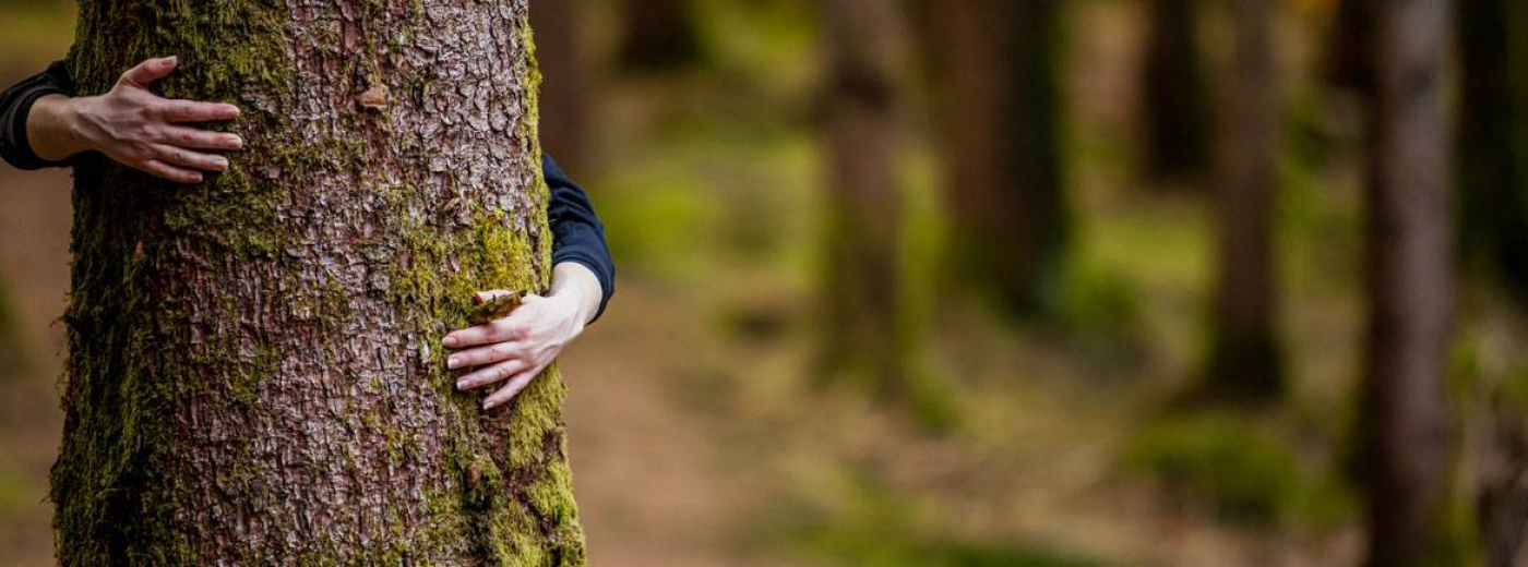 How Eco-Friendly Is Your Wood Stove